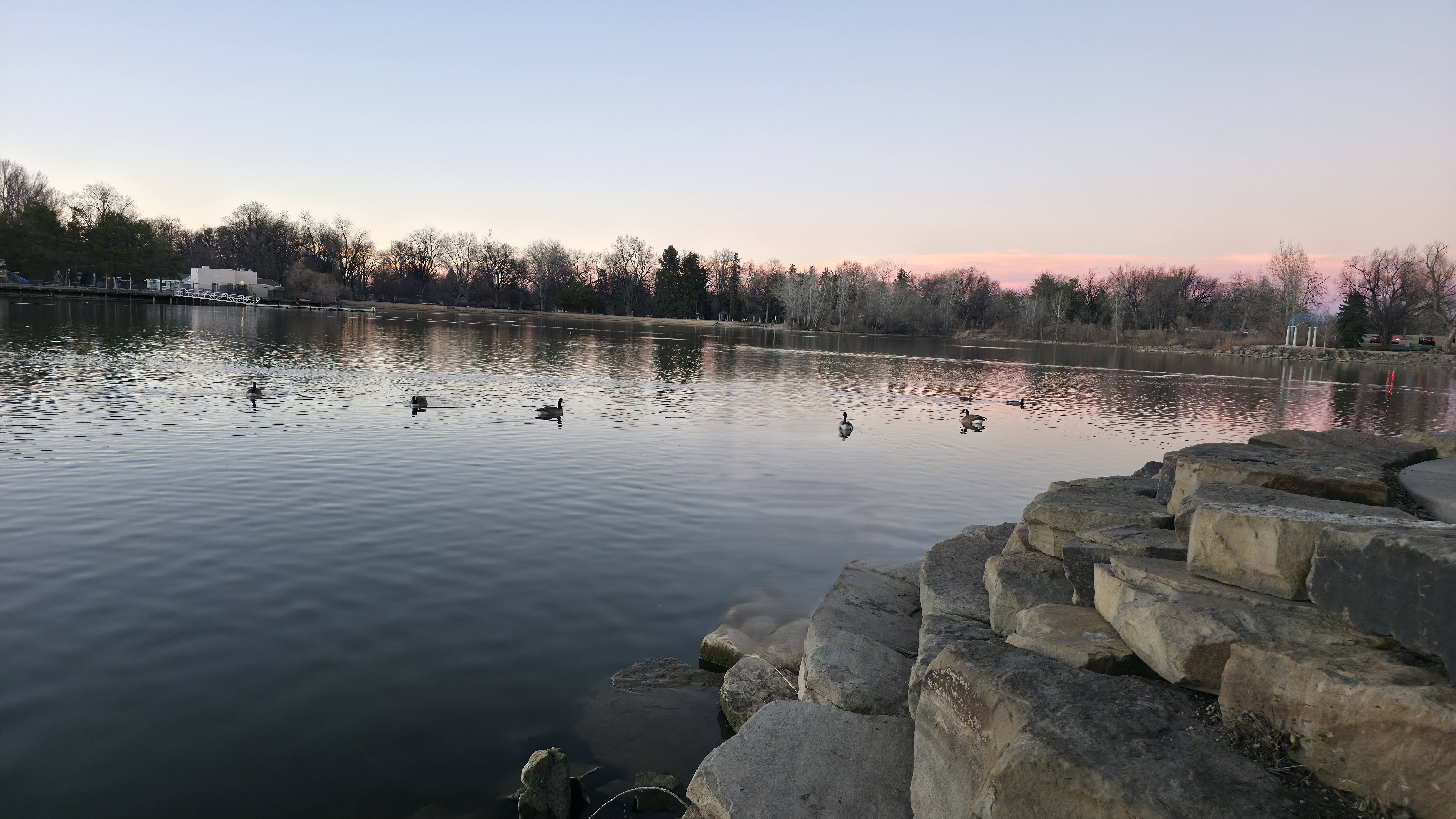 Colorado State University, Fort Collins